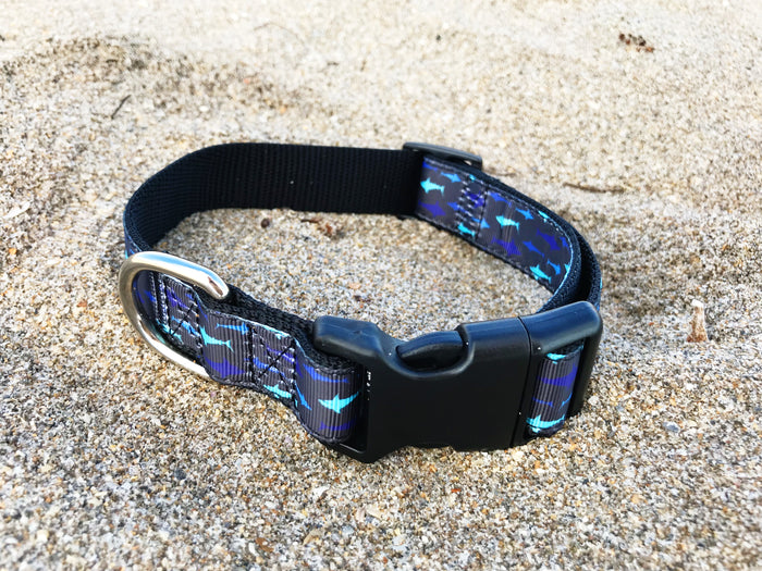 Black and Blue Shark Collar