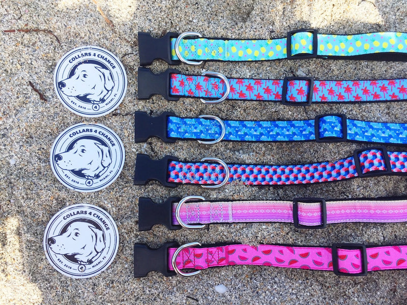 Collars4Change Dog Collars